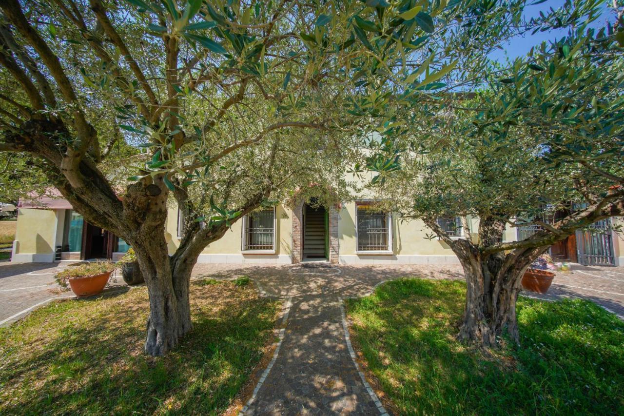 Chez Barnie Favoloso Appartamento Privato In Villa A 800Mt Ingresso Fiera Rimini Exterior photo